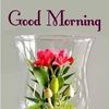 umar.saadiq