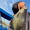 fishing_golf