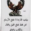 user9987479860556