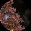 the_resolver