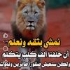 user47533227498536