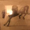 thearabichorse
