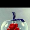 shopno.kotha6