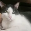 verakat74