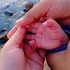 aniqa.imran