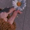 asmaa.elnashar