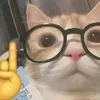 kiaraalexxxxx