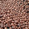 bikencoffee_84