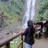 sulis10_08