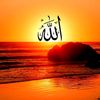 ramzan.bhatti6932
