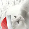 .l4ufey