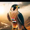 abu.aziz.alhayali