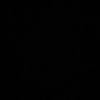 lililij02