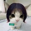 ..bianca_whiskers