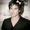 usuario_tvd