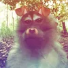 vmkhxggff