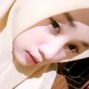 sf.anggrn1