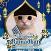 tantan.tan37