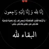 davinsalam1