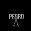 pedrolucas20220