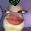rawraceah3