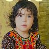munir.aryoubi