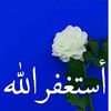 queen_m442