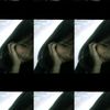 always_may11