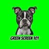 Green Screen 101