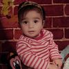 evi.haa