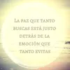 ..insa_07