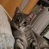 kami_20104