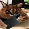 .xyi56