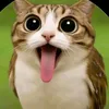 jaxs_middletoe