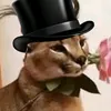 _floppa_qq
