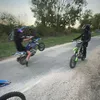 niblofr
