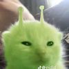 soy___estiven