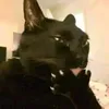 manu_almeiida1