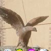 user7479231315461