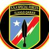 wiililaaloqaran2024