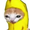krytoi_1111111111