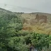 drissiaelkamouni3