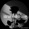 เธรดที่เธอไม่ดูシ (11.3K)