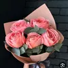 user7902113402116