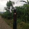 sangita.magar.thapa5