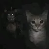 daaash_563