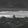 silent_awakening0