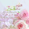 hamza775522