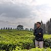 wan.tara3