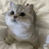 327_meimei
